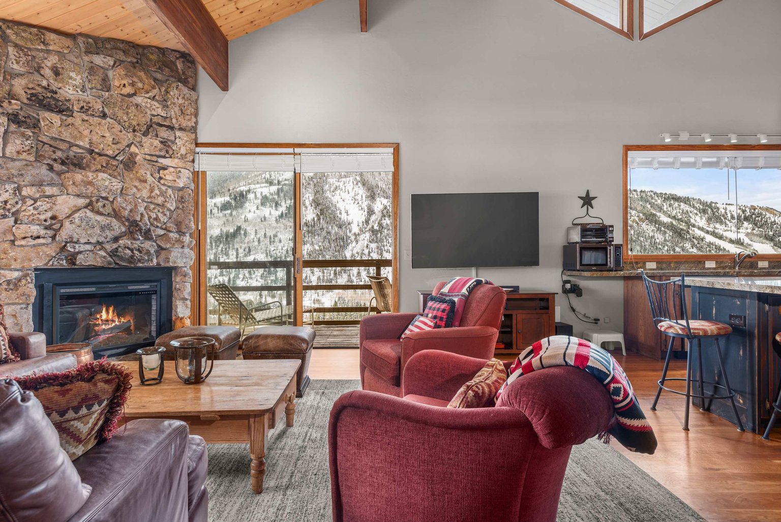 Aspen Vacation Rental