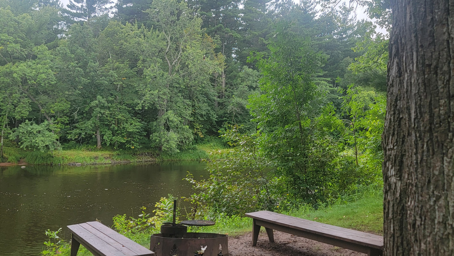 Pine City Vacation Rental