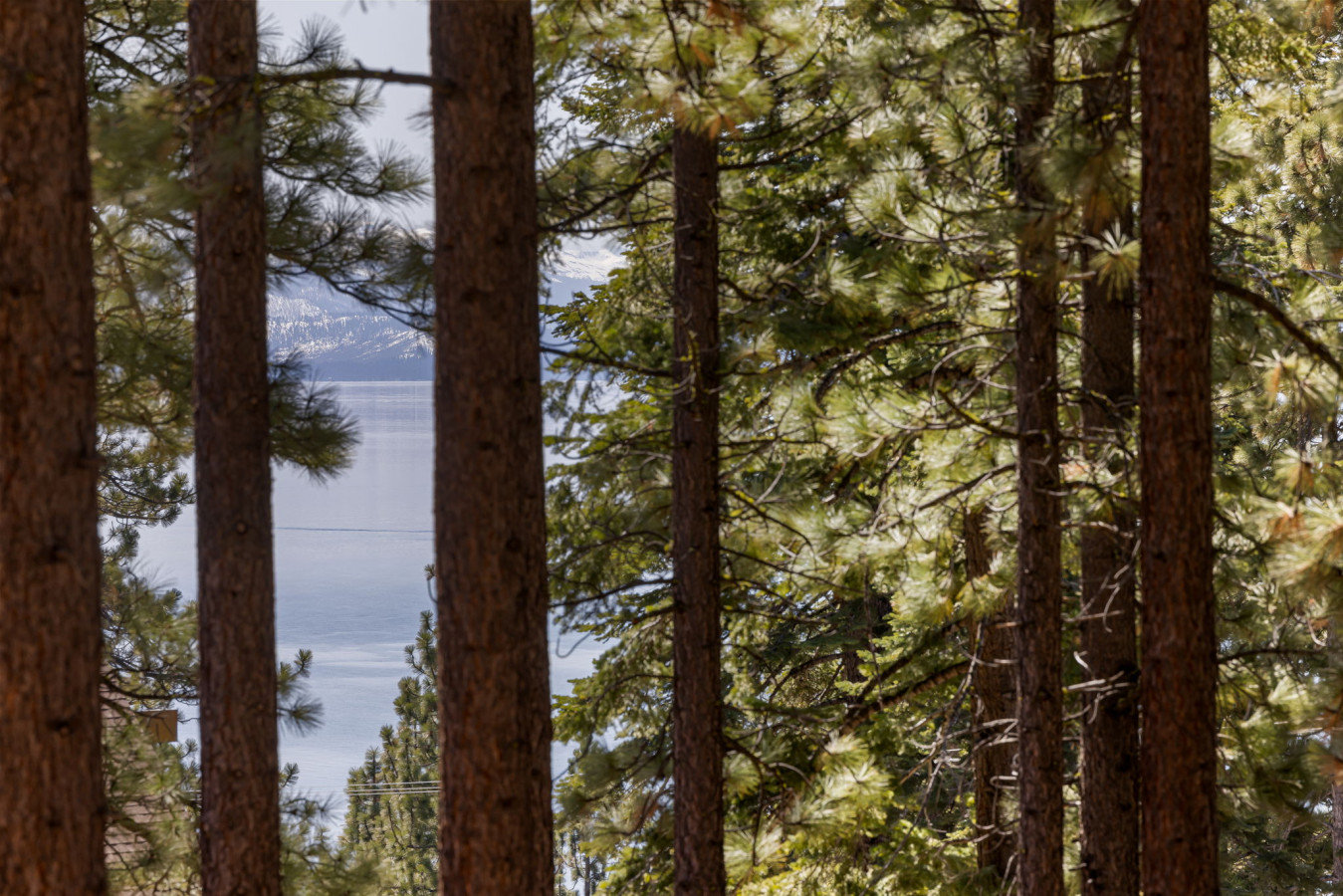 Tahoe City Vacation Rental