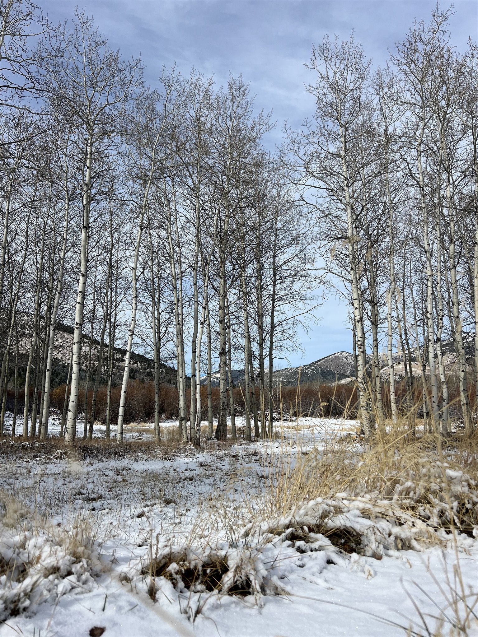 Anaconda Vacation Rental