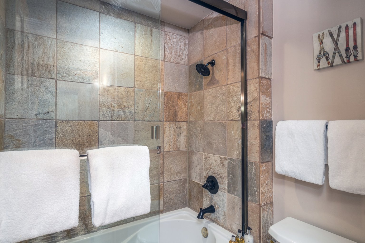 Telluride Vacation Rental