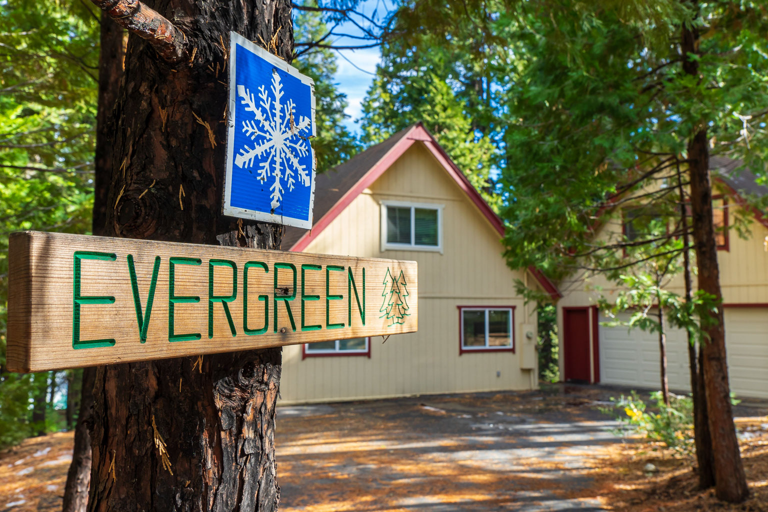 Dorrington Vacation Rental