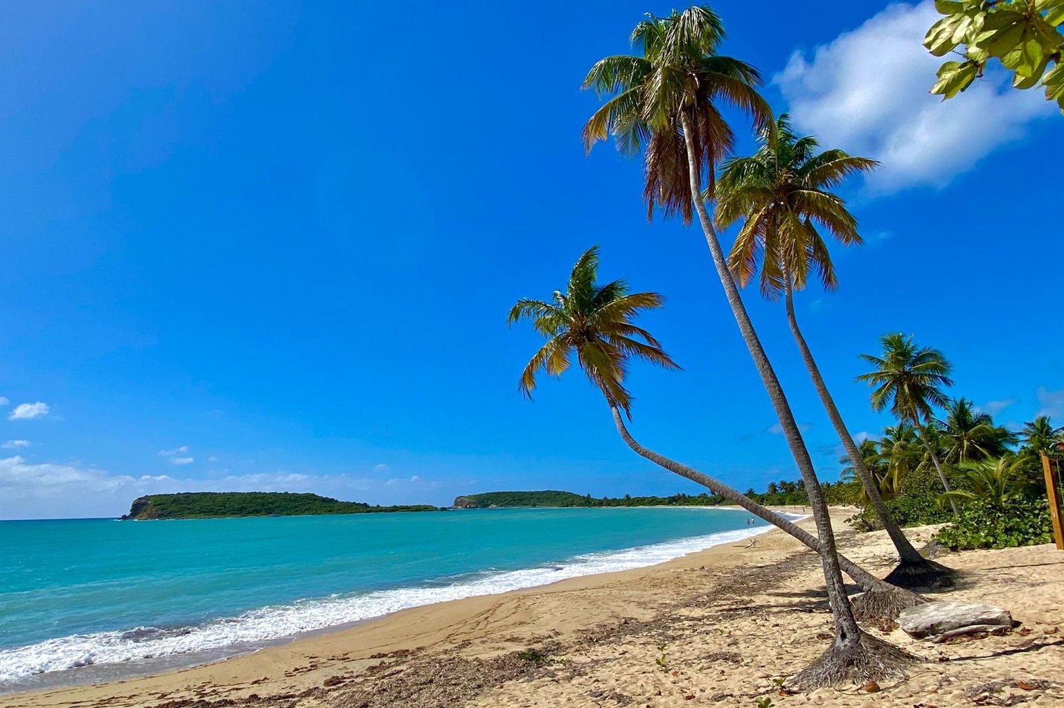 Vieques Vacation Rental