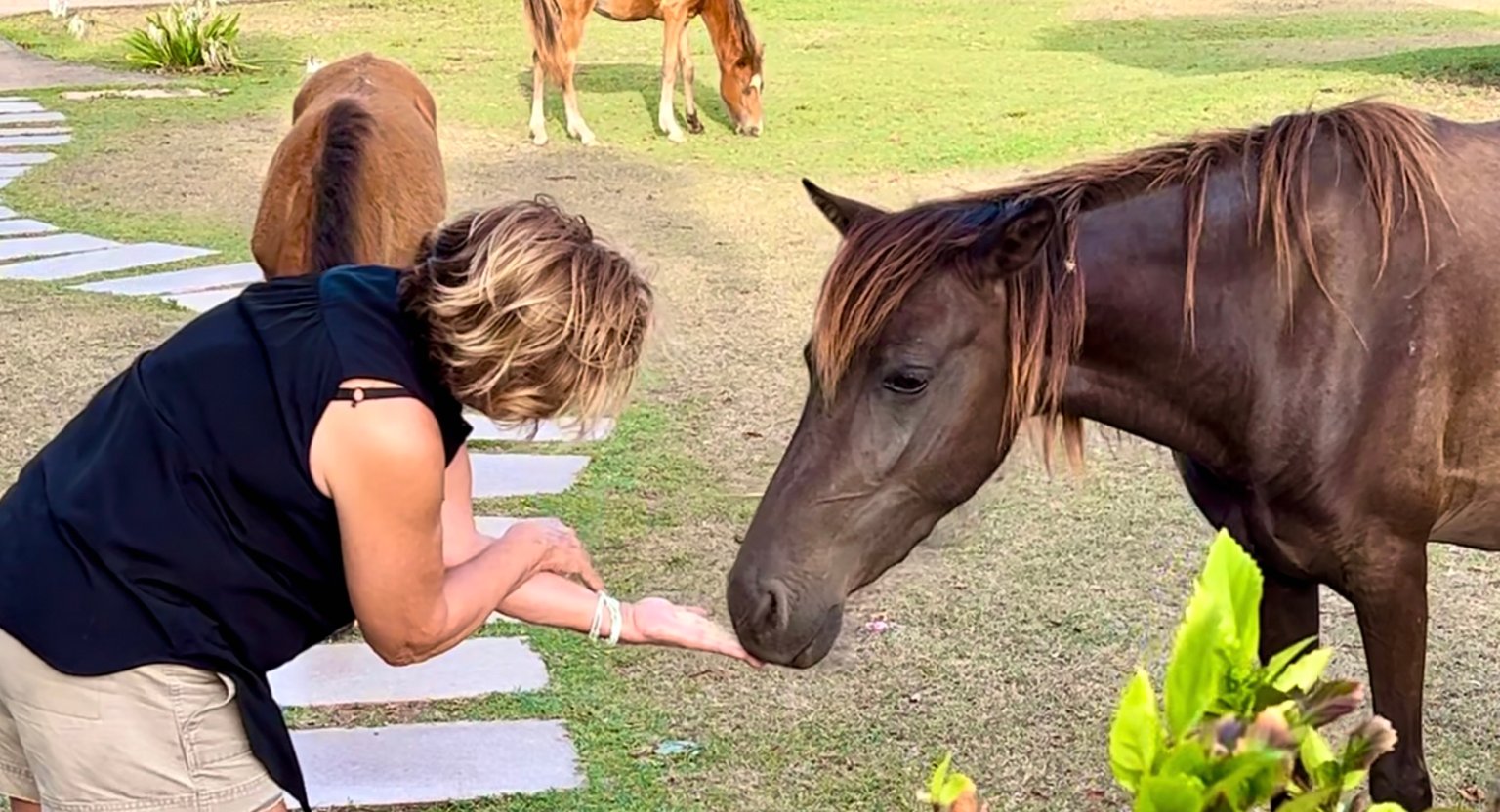 Vieques Vacation Rental