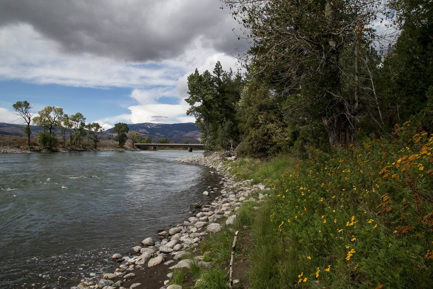 Livingston Vacation Rental