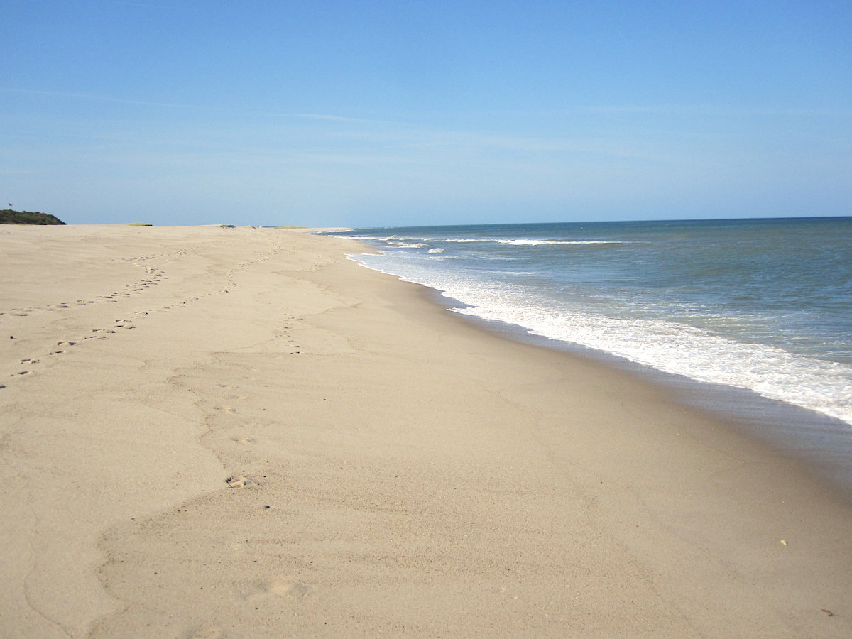 Orleans Vacation Rental