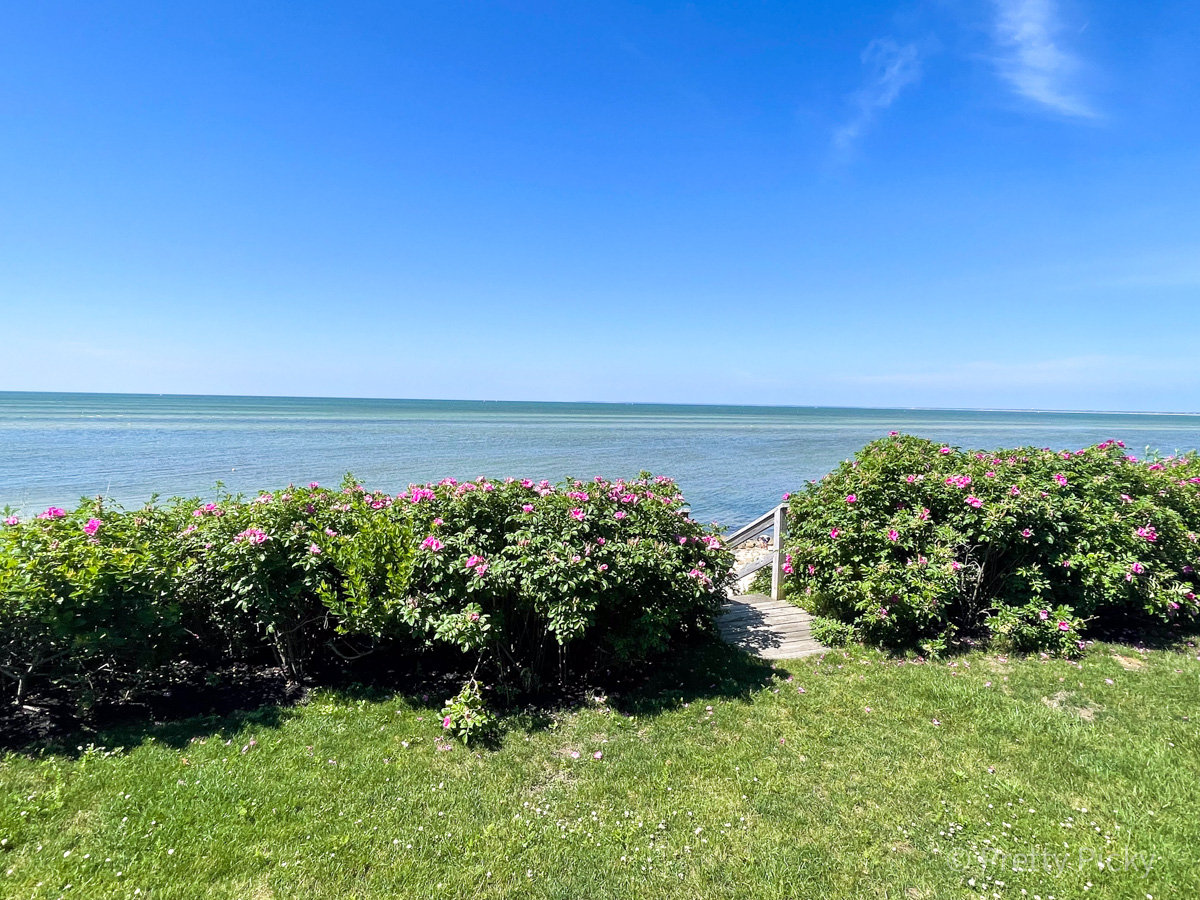 Brewster Vacation Rental