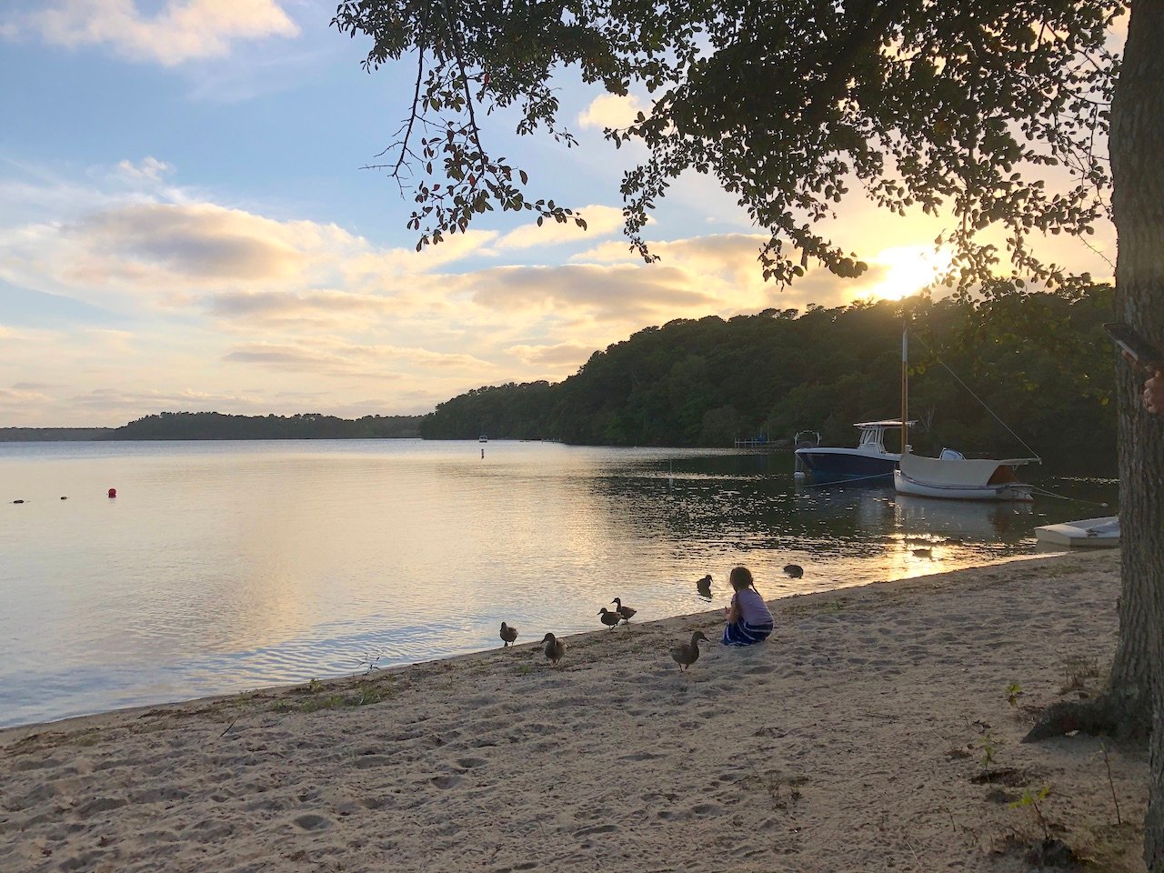 Brewster Vacation Rental