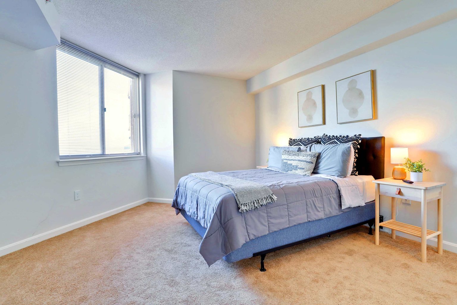 Arlington Vacation Rental