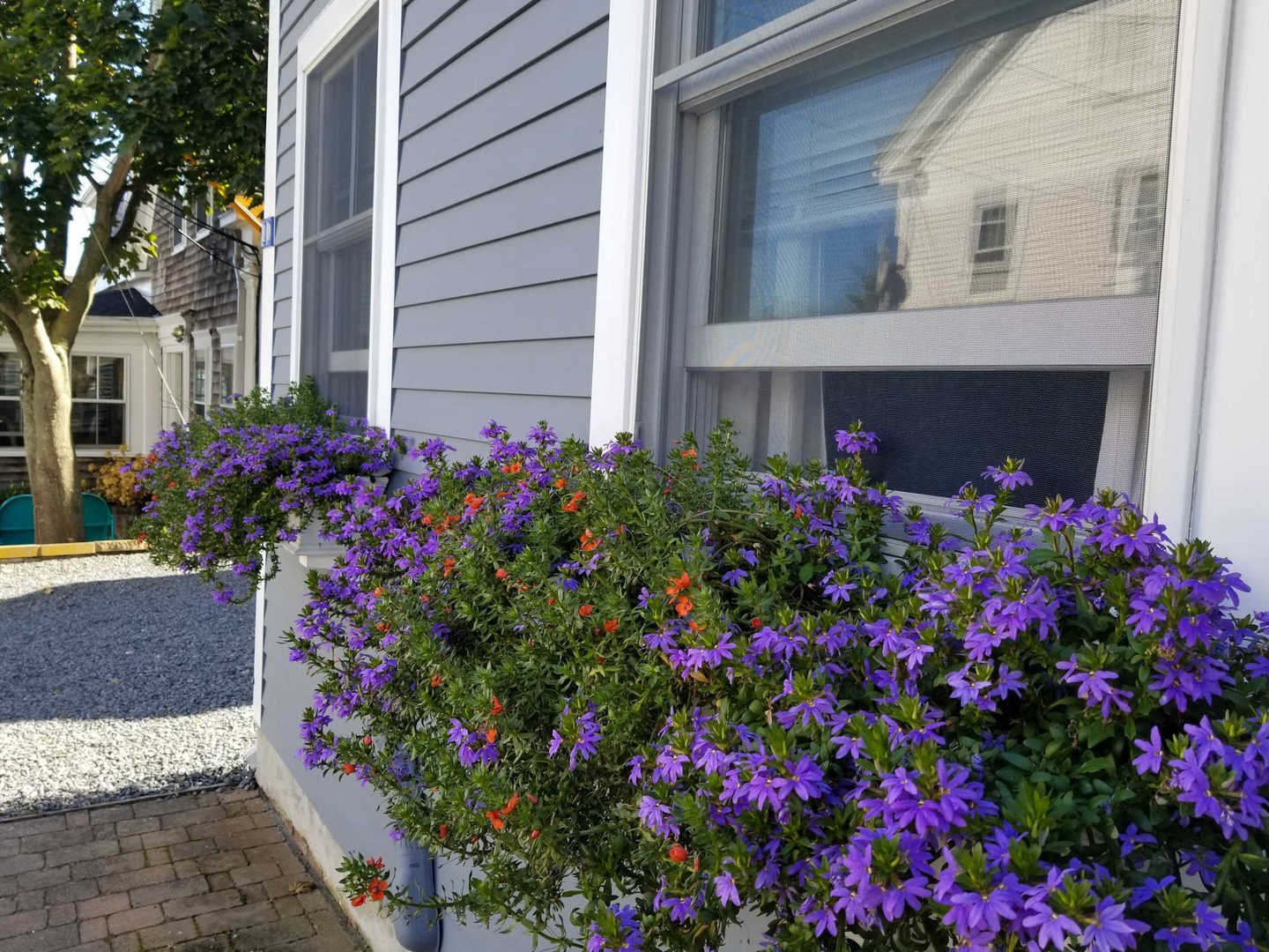Provincetown Vacation Rental