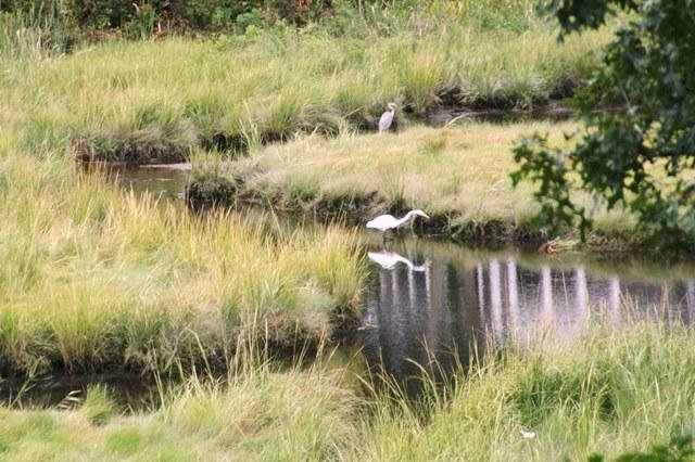 Chatham Vacation Rental