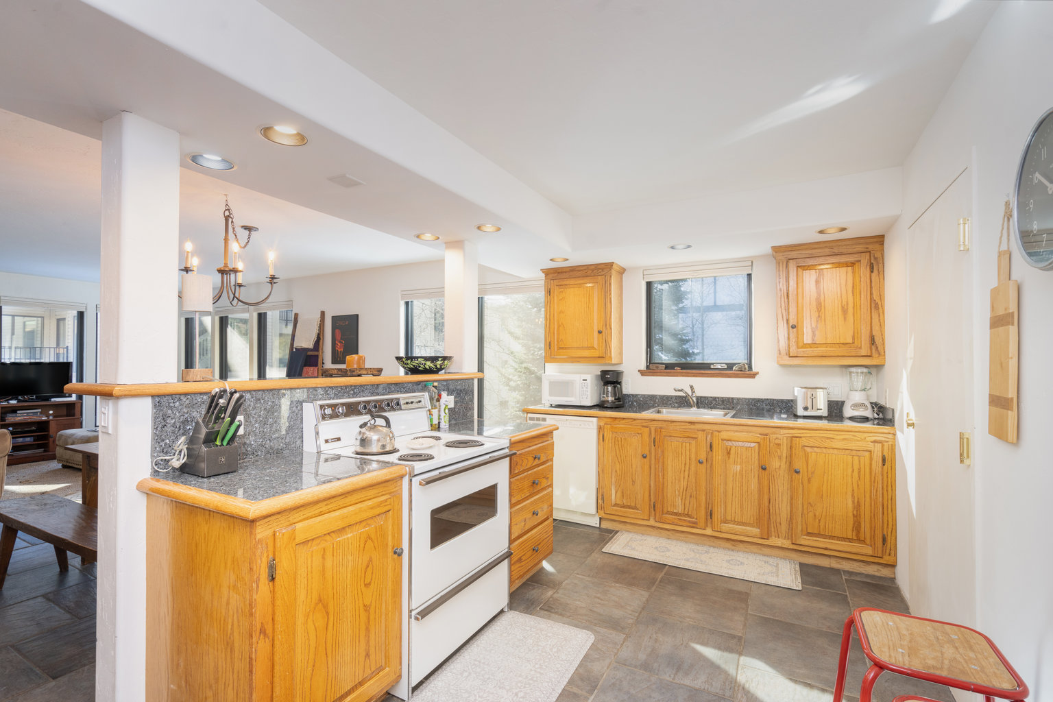 Telluride Vacation Rental