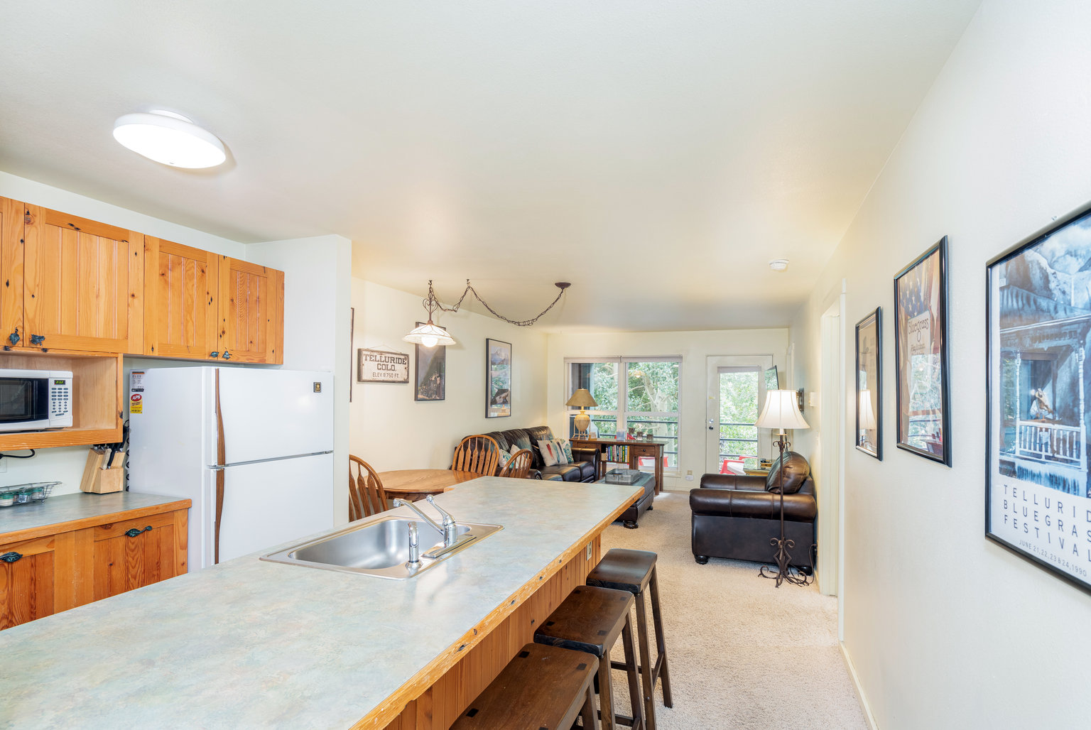 Telluride Vacation Rental