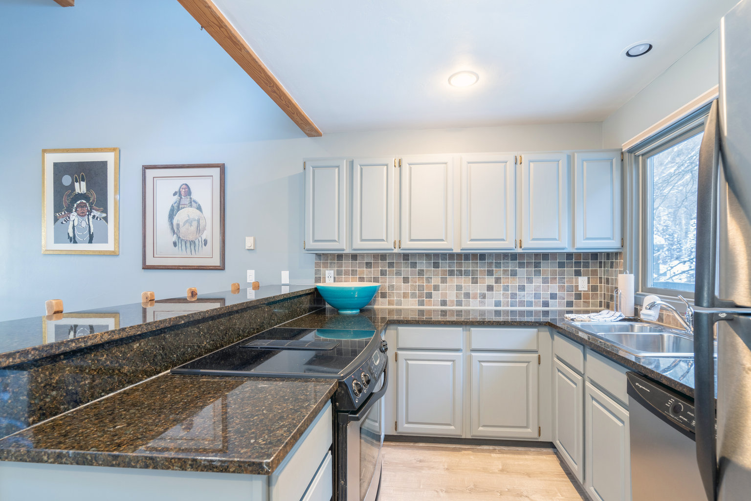 Telluride Vacation Rental