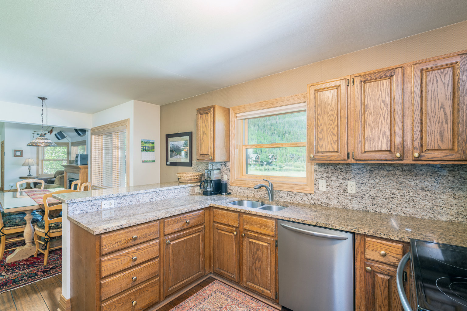 Telluride Vacation Rental