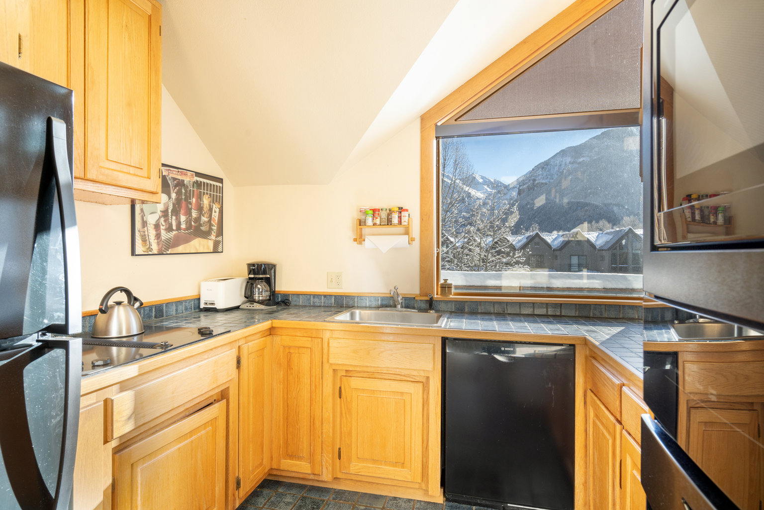 Telluride Vacation Rental
