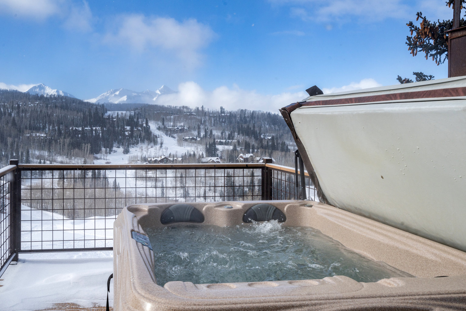 Telluride Vacation Rental