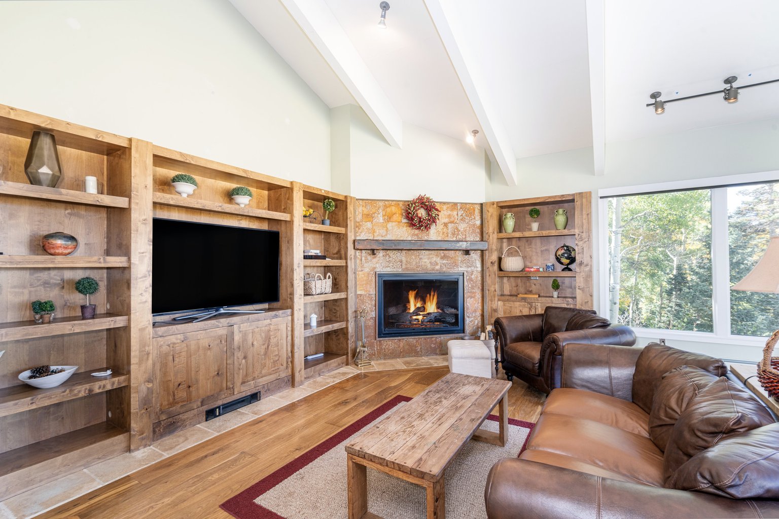 Telluride Vacation Rental