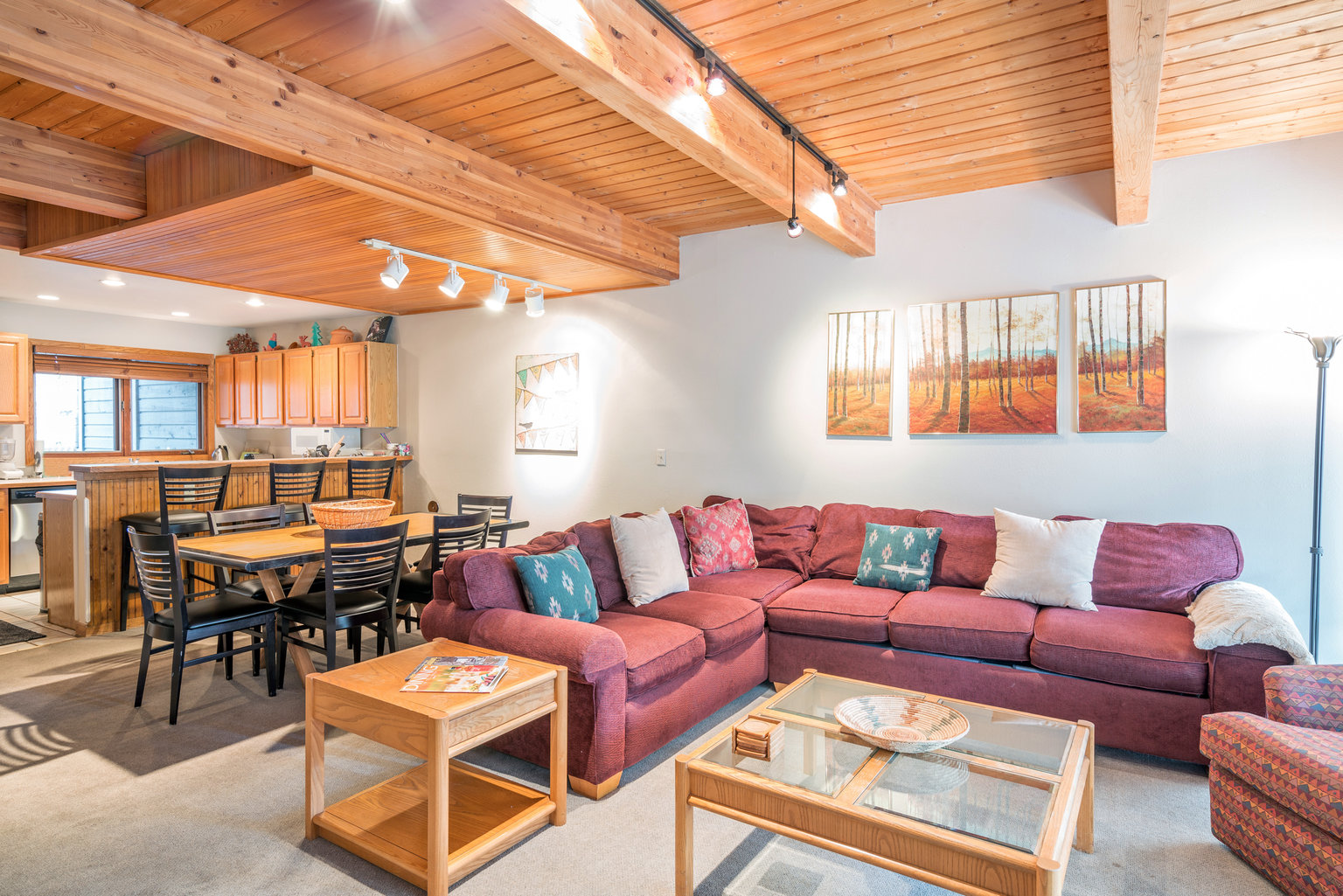 Telluride Vacation Rental