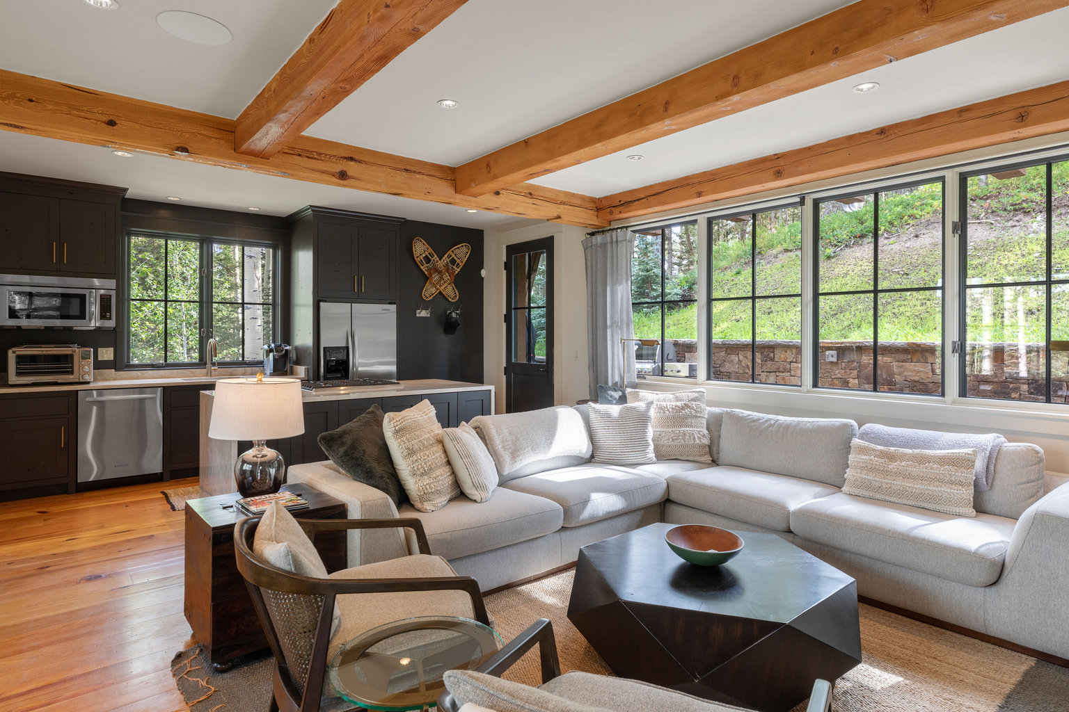 Telluride Vacation Rental