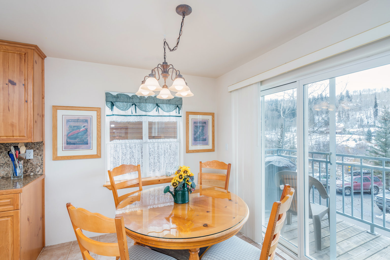 Telluride Vacation Rental