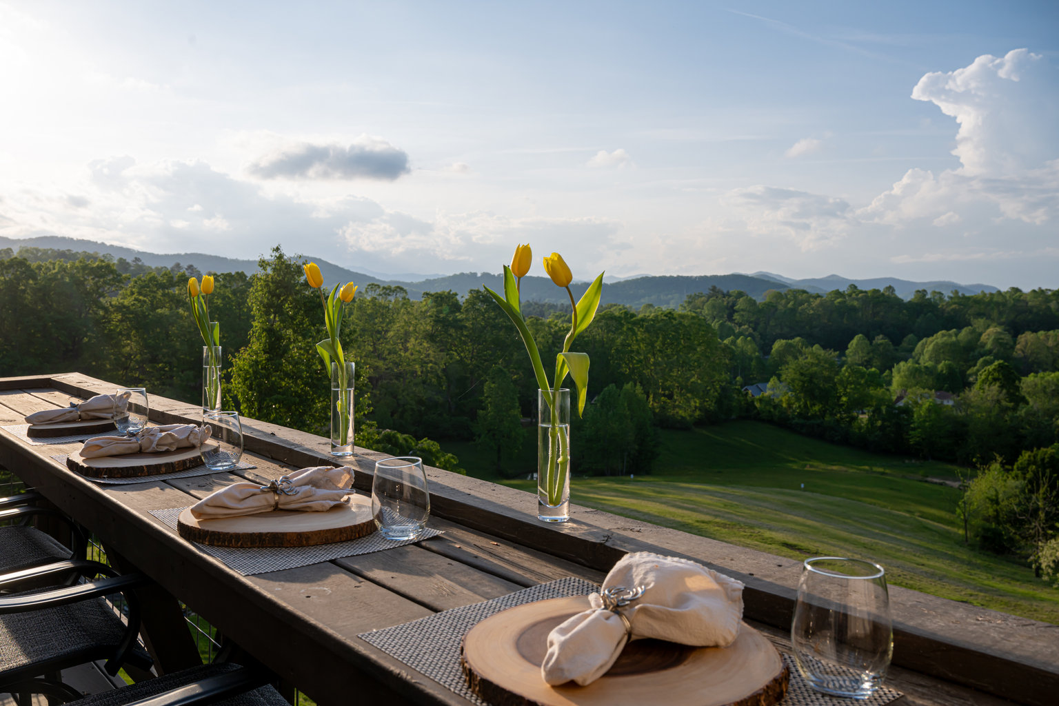 Mills River Vacation Rental