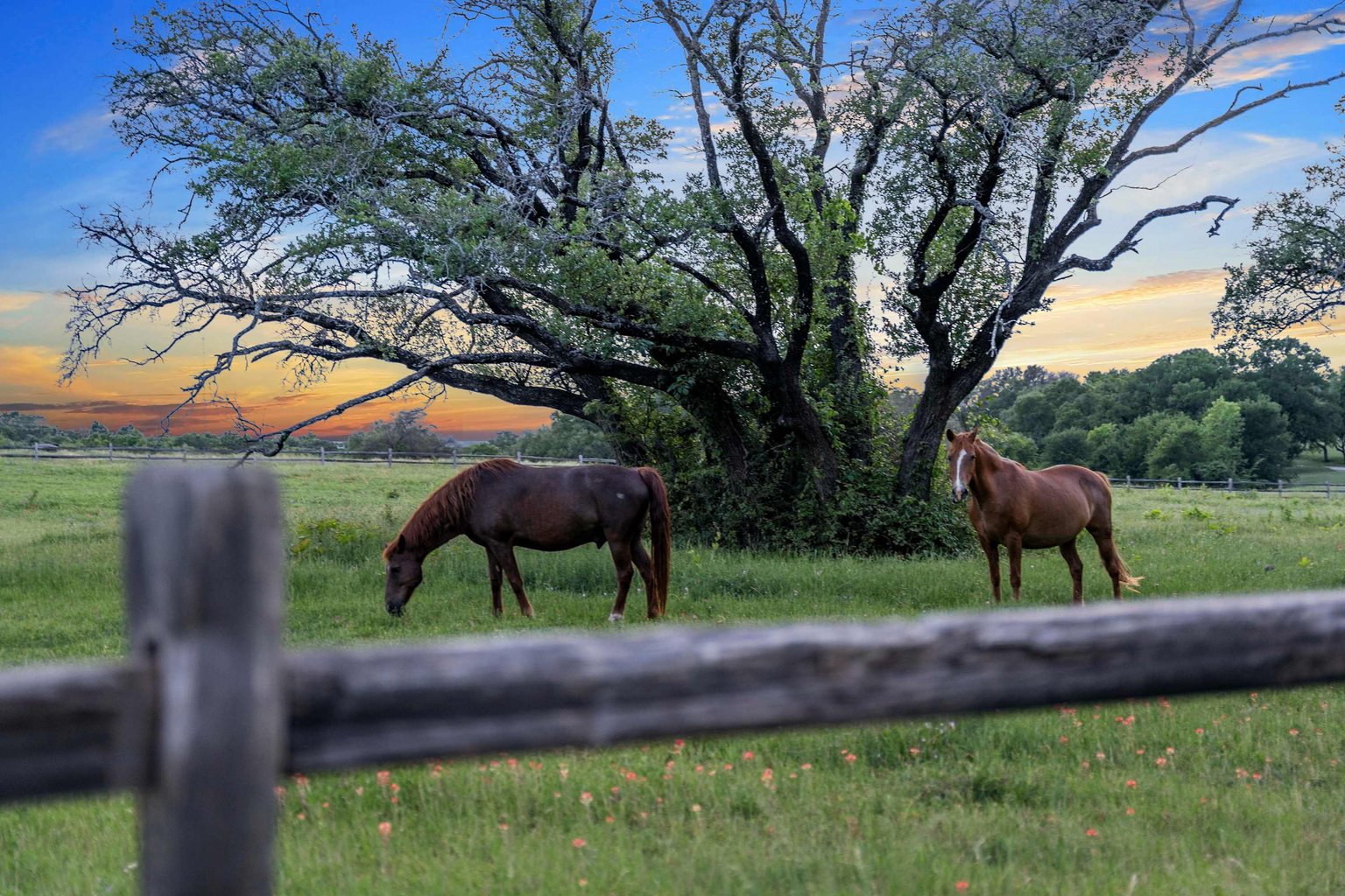 Waco Vacation Rental