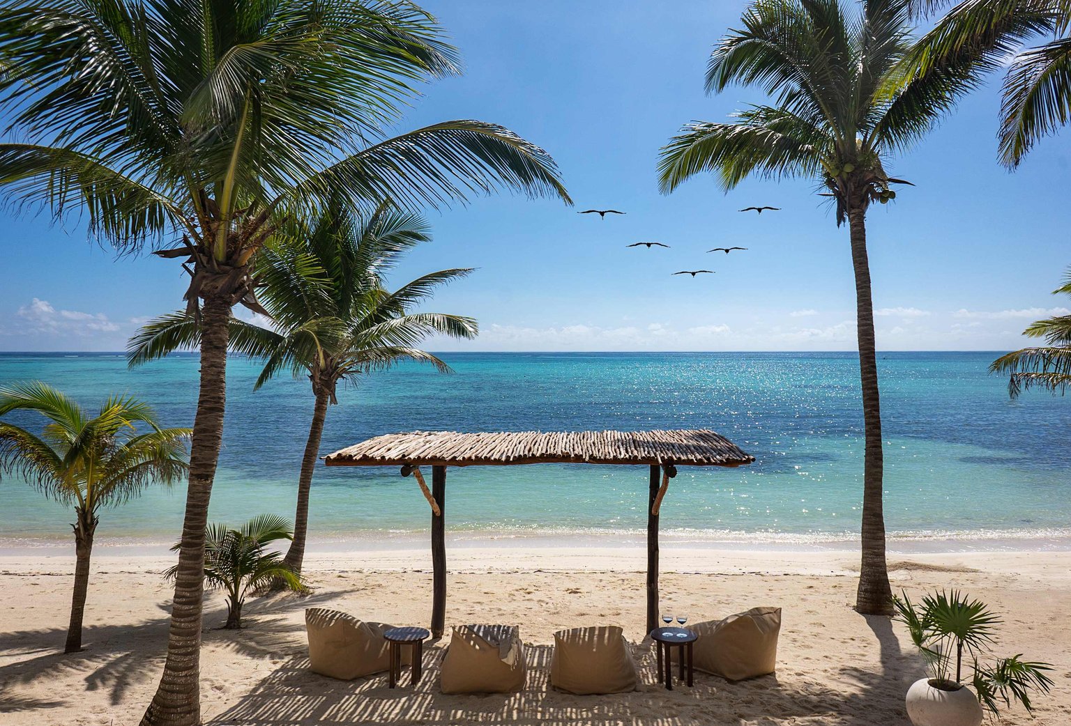 null Vacation Rental