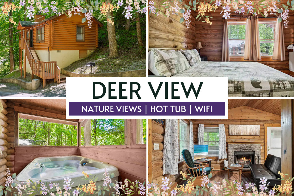 Sevierville Vacation Rental
