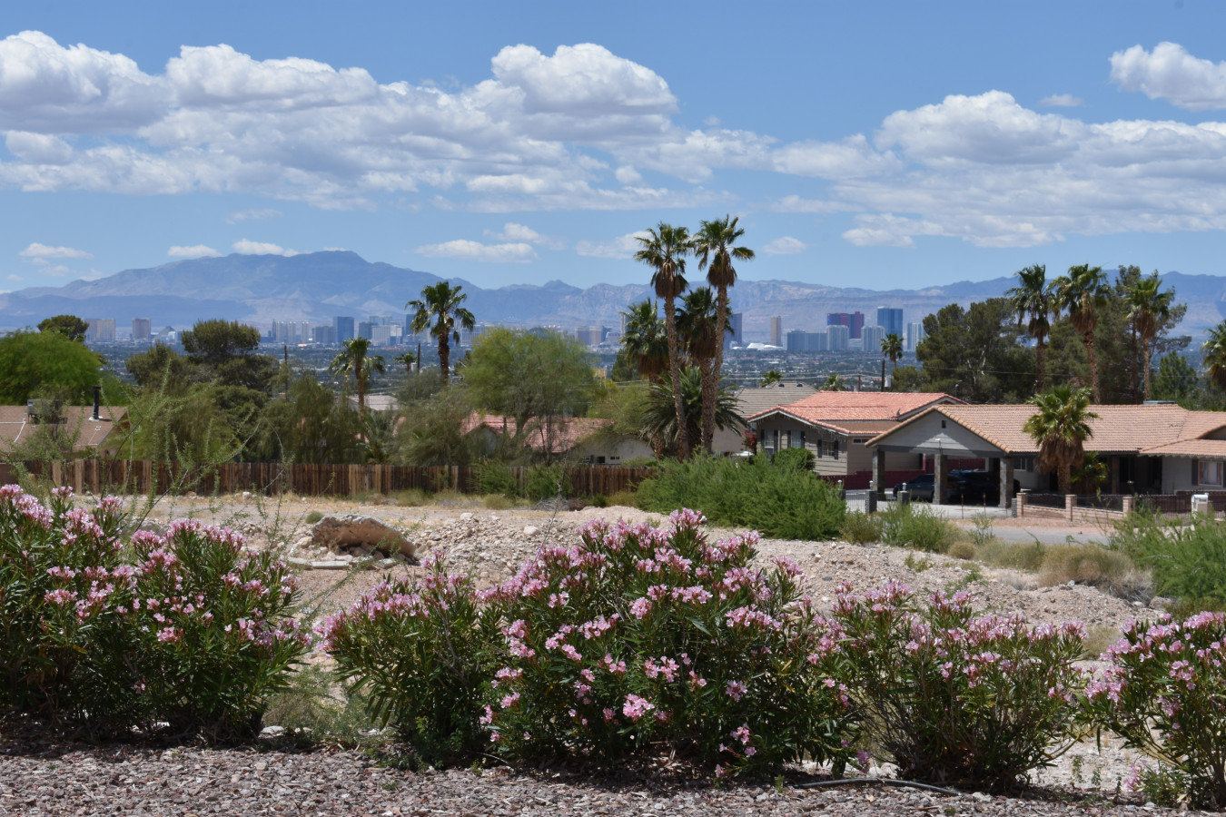 Las Vegas Vacation Rental