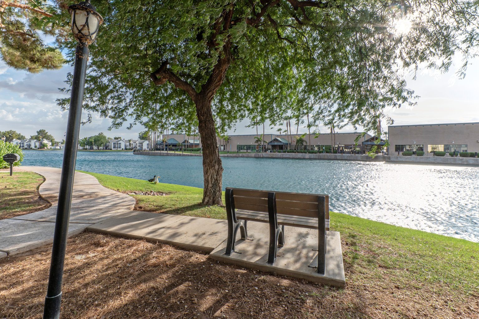 Chandler Vacation Rental