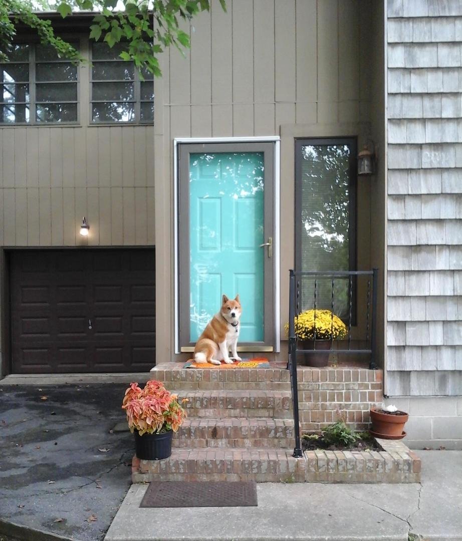 Dewey Beach Vacation Rental