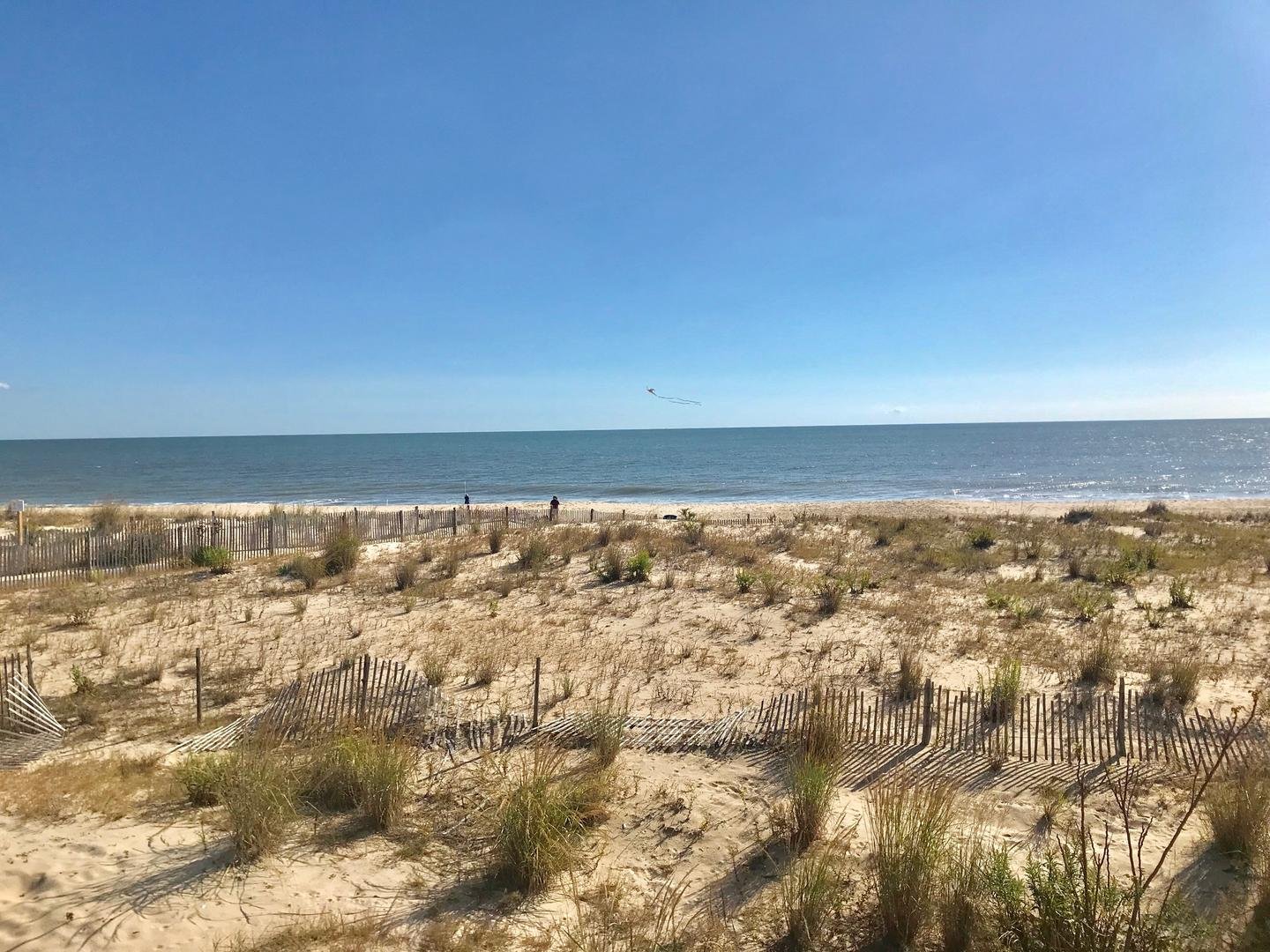 Dewey Beach Vacation Rental