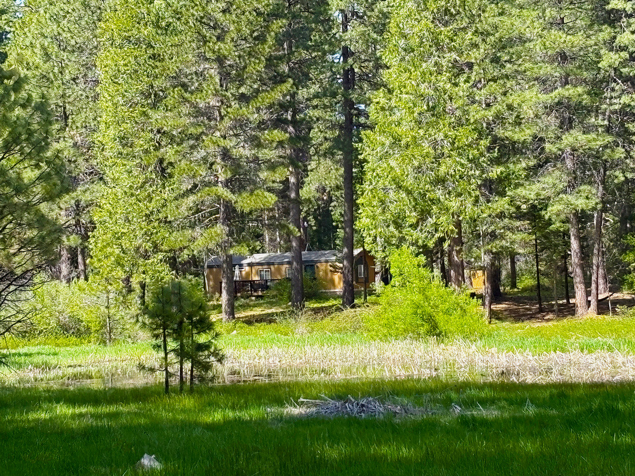 Mount Shasta Vacation Rental