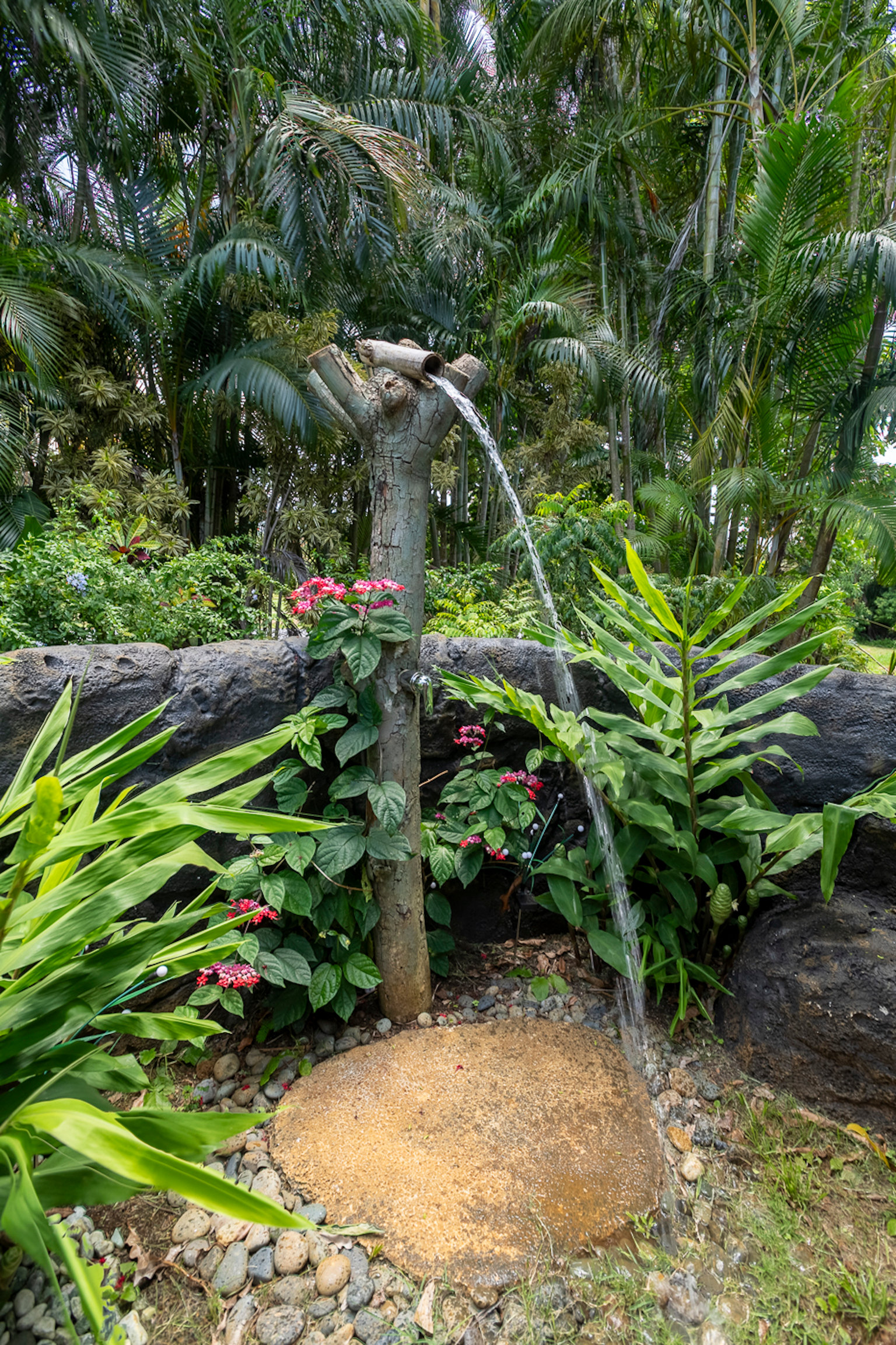 Princeville Vacation Rental