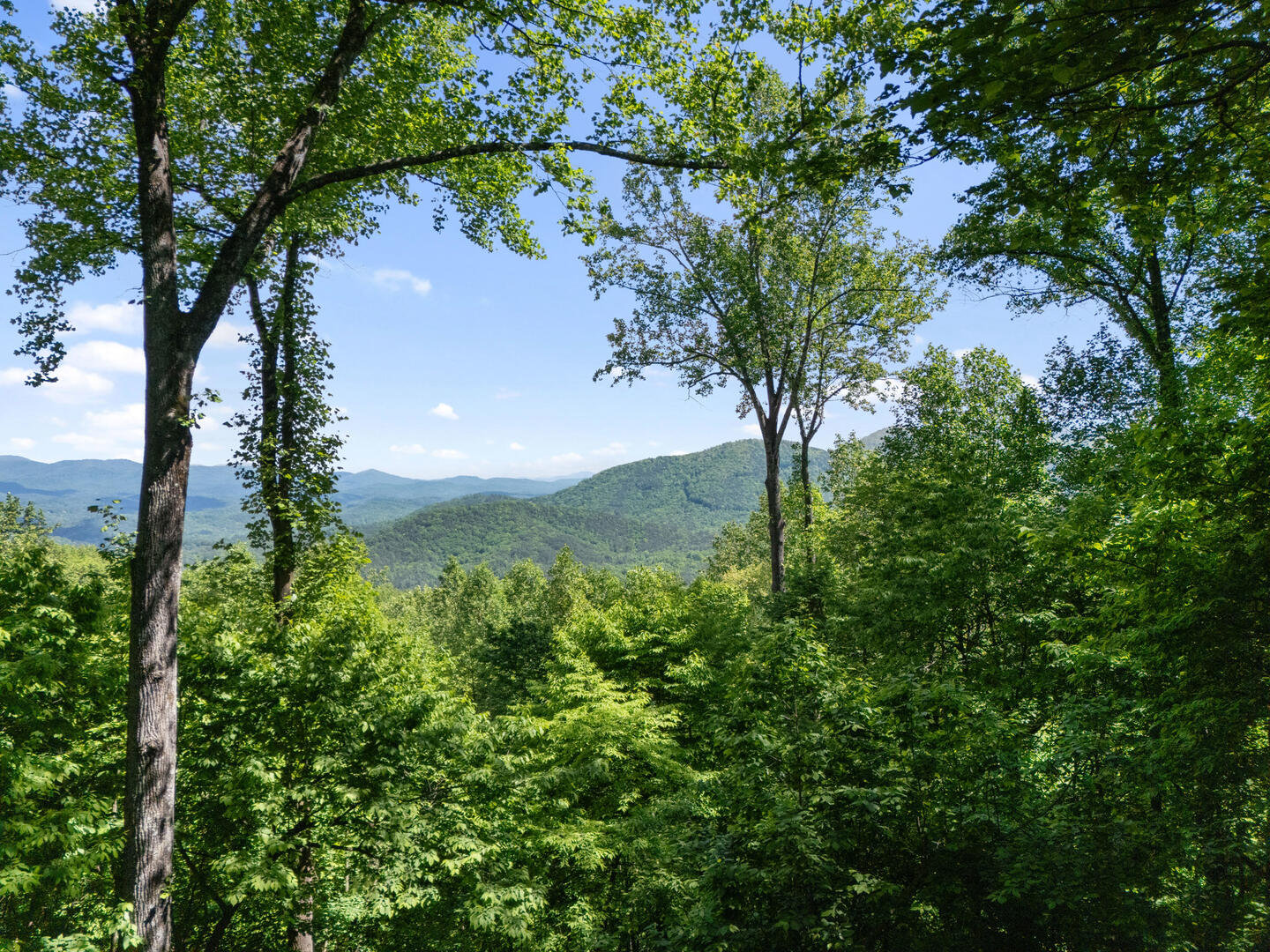 Ellijay Vacation Rental