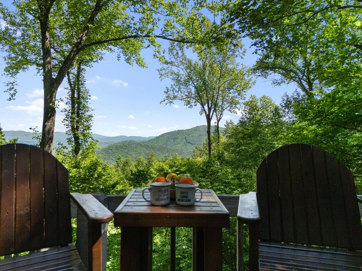 Ellijay Vacation Rental