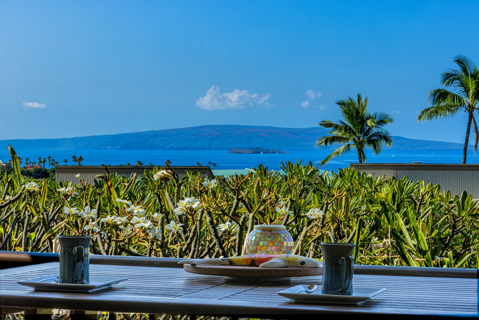 Wailea Vacation Rental