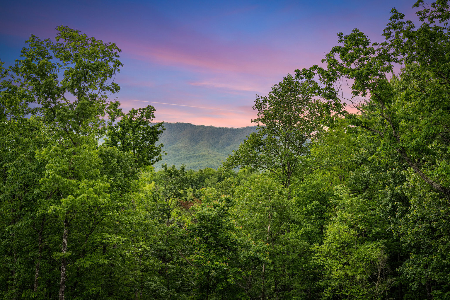 Gatlinburg Vacation Rental