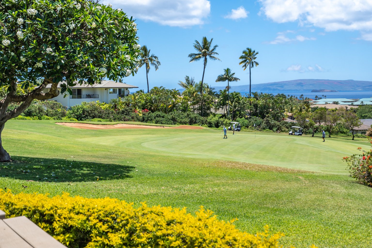 Wailea Vacation Rental