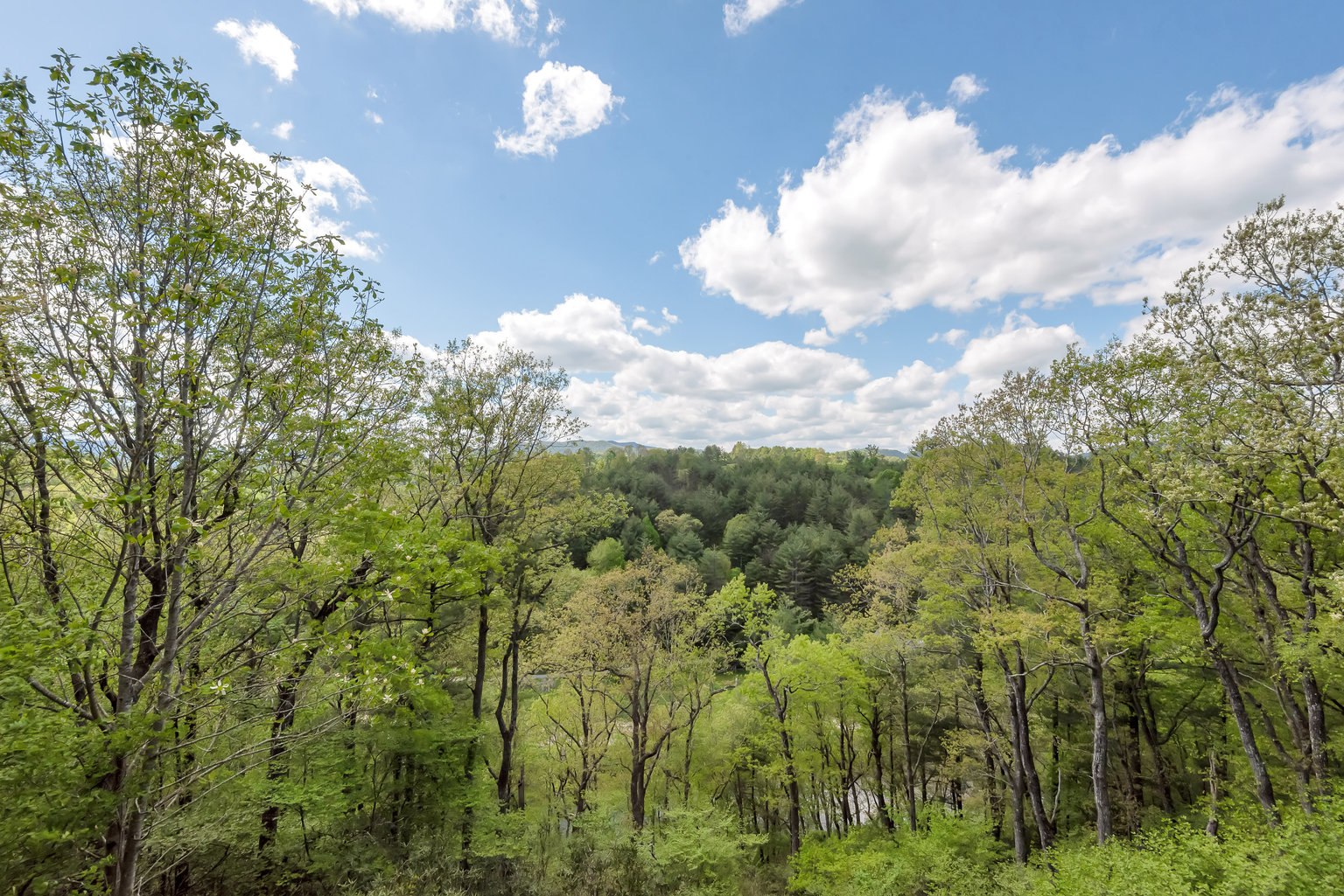 Jefferson Vacation Rental