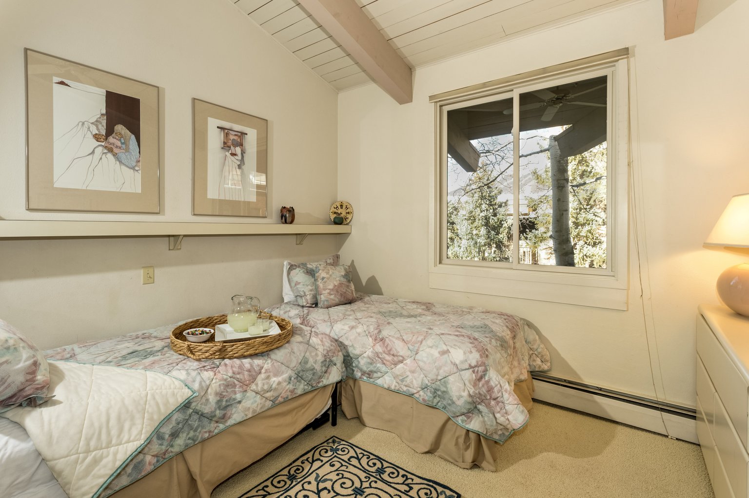 Aspen Vacation Rental