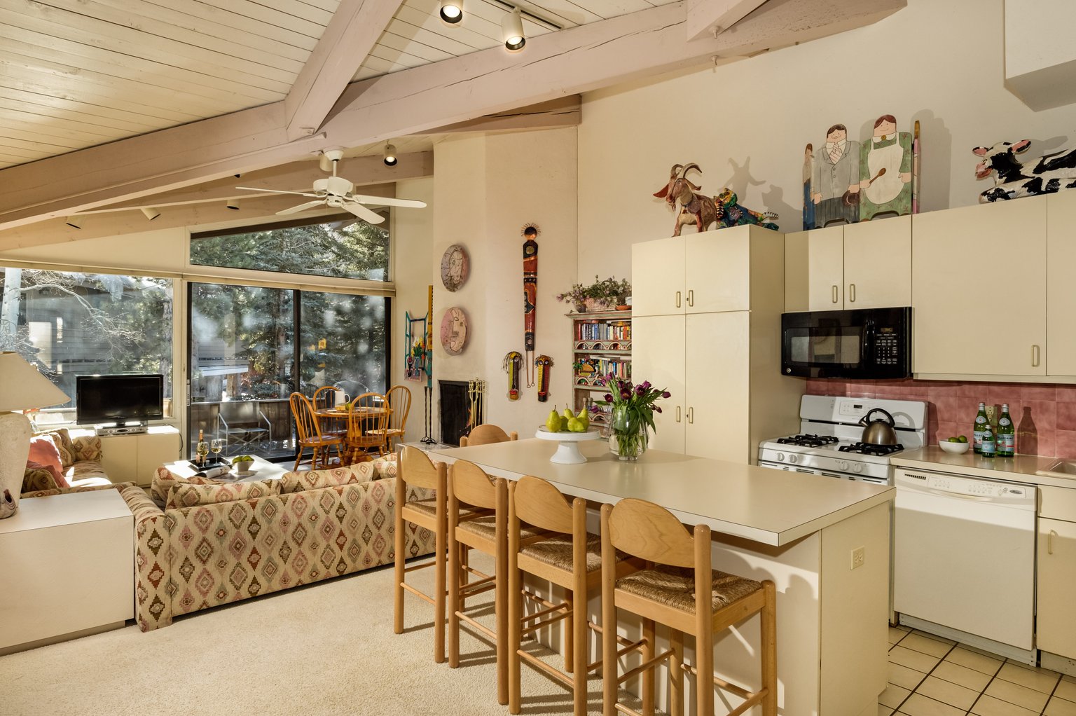 Aspen Vacation Rental