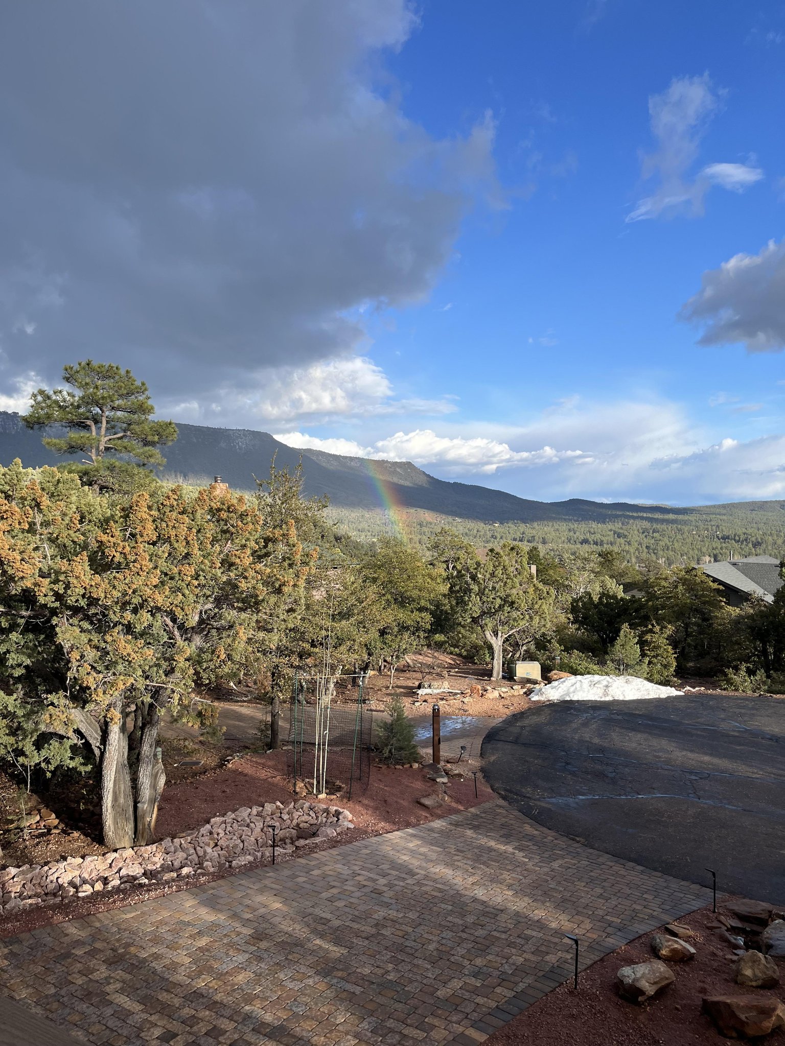 Pine Vacation Rental