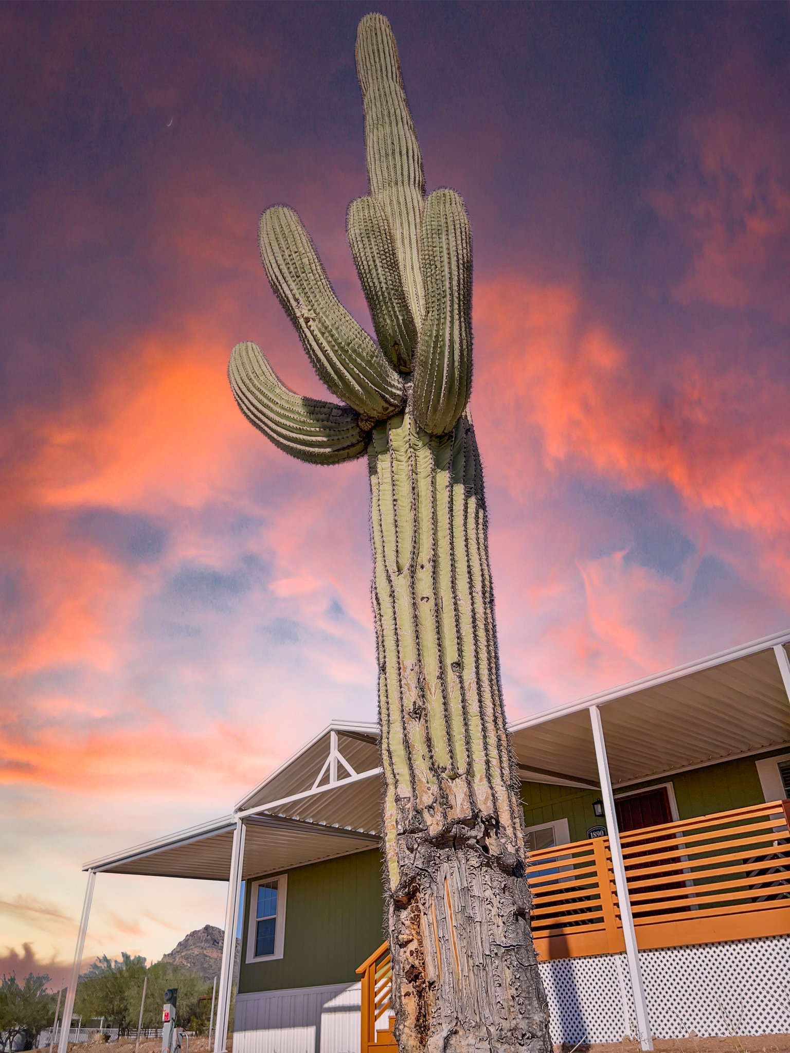 Apache Junction Vacation Rental