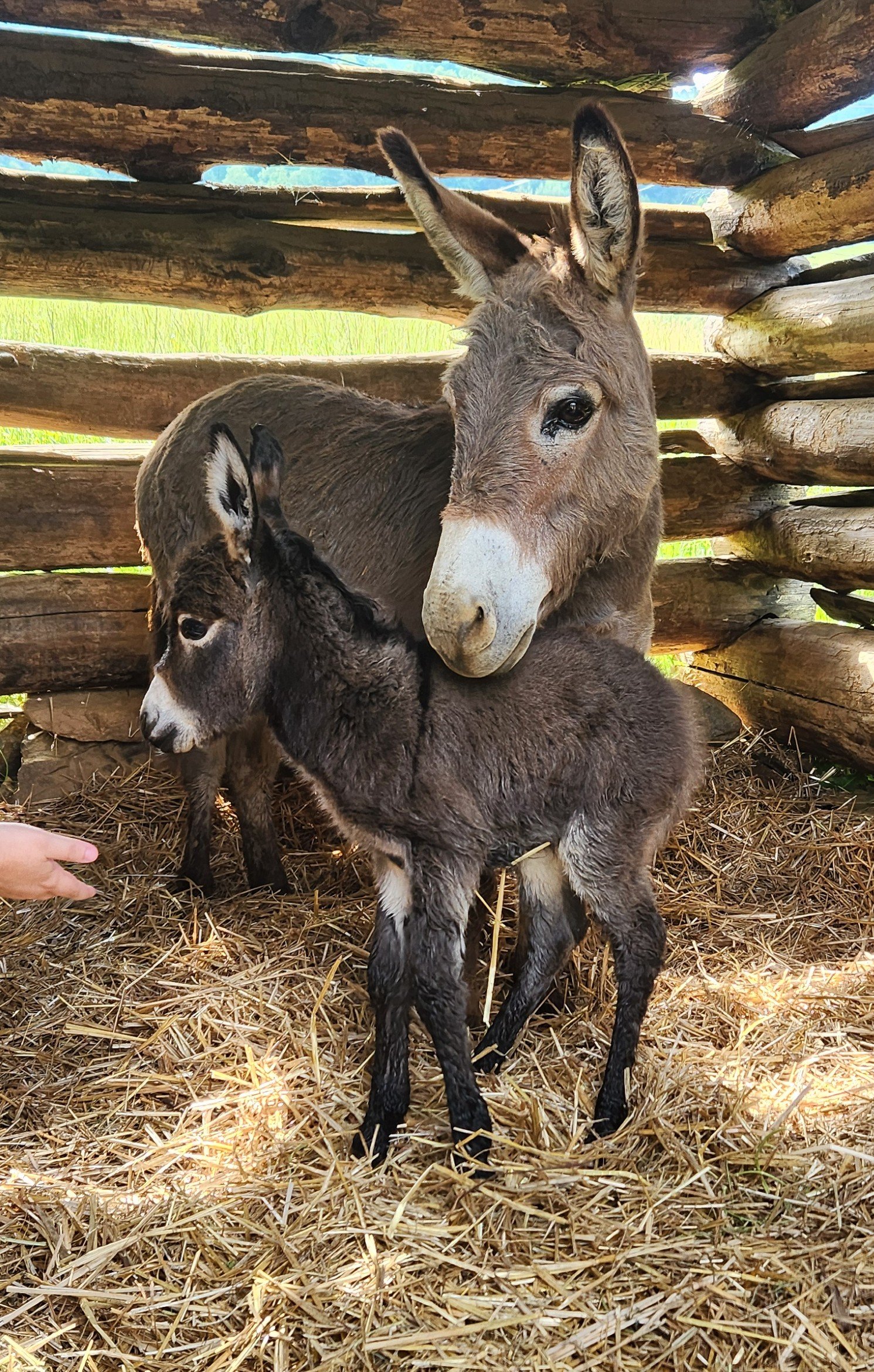 Marshall Vacation Rental