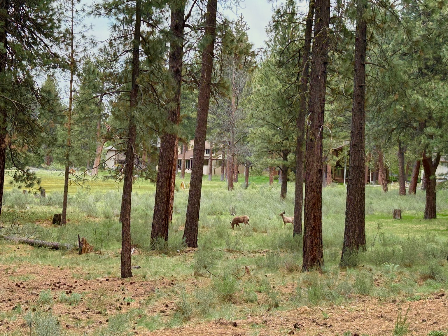 Sisters Vacation Rental