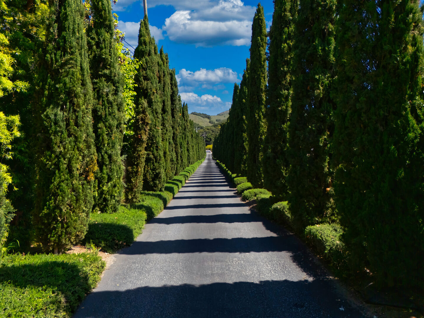 Carmel Valley Vacation Rental