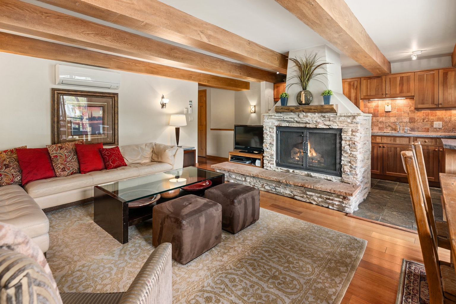 Aspen Vacation Rental