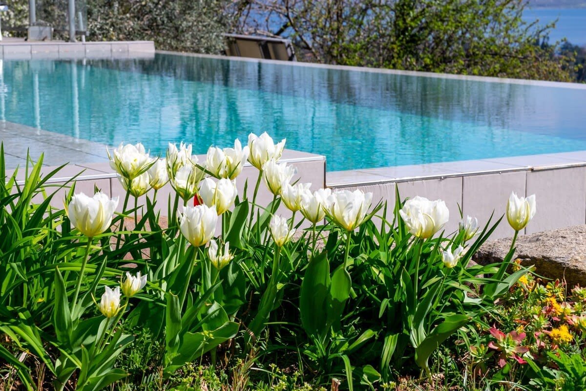 Lesa Vacation Rental